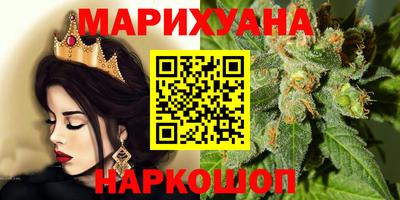 сатива Гатчина