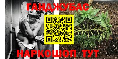 гашик Гай